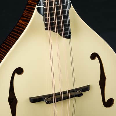 Collings MT Mandola Cream Gloss Top Adirondack Spruce and Flamed Maple NEW image 6