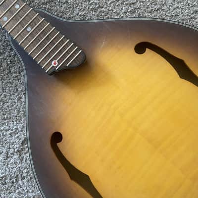 Honey Burst 8 String Mandolin Project, Spruce Top, Mahogany Body, Rosewood Fingerboard image 11