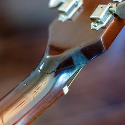 Gibson J-50 Deluxe 1973-1975 - Natural image 13