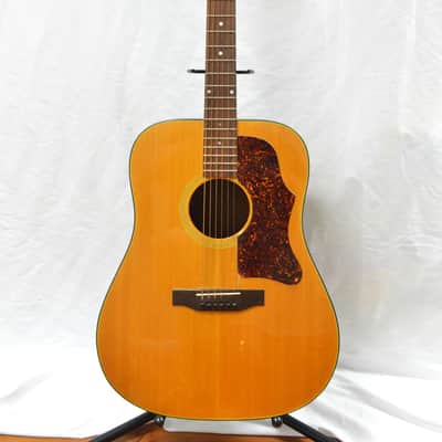 1976 Gibson J-55 American Made Acoustic Electric image 1