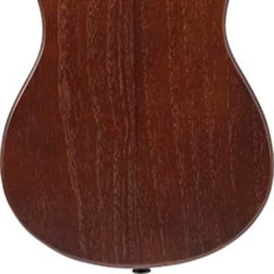 Ibanez AUP10N Spruce 6-String Acoustic Tenor Ukulele, Light Brown Sunburst image 3
