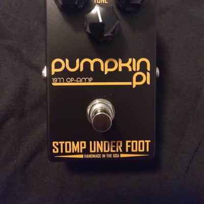Stomp Under Foot Pumpkin Pi image 2