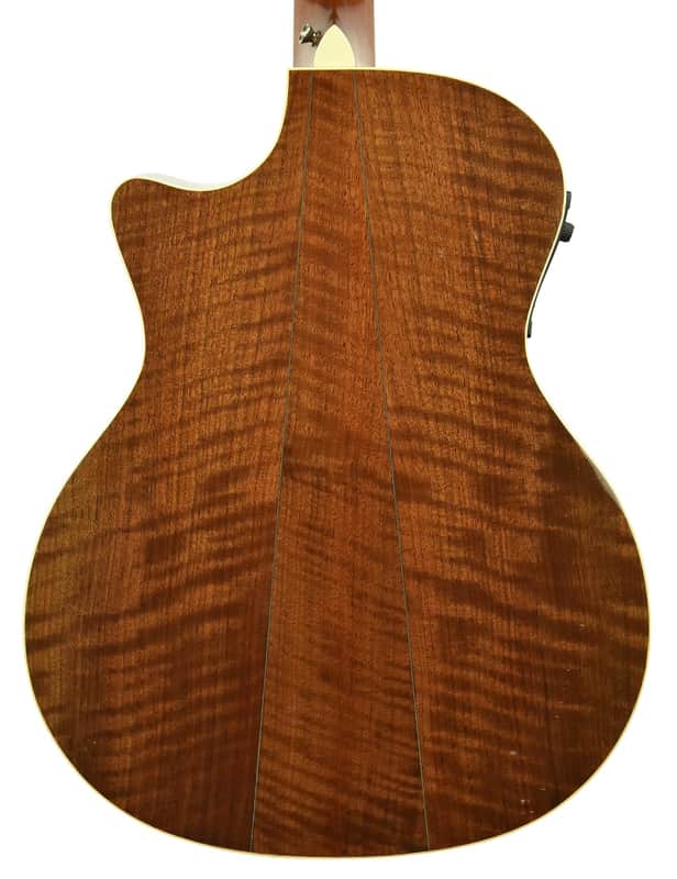Taylor W14ce image 5