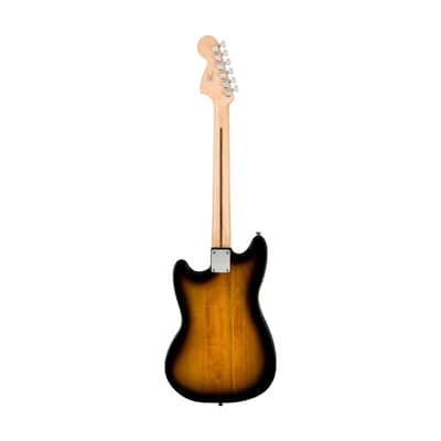 Squier Sonic Mustang Electric Guitar w/White Pickguard, Maple FB, 2-Color Sunburst image 2