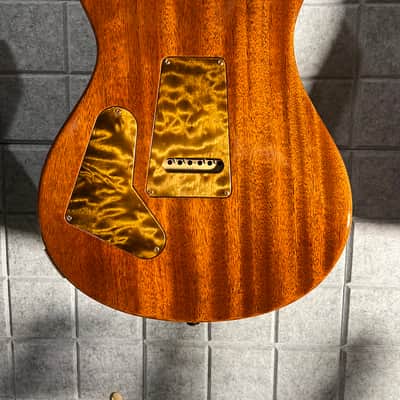 PRS Custom 24 Private Stock image 4