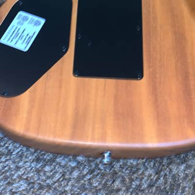 2019 Fender American Acoustasonic Stratocaster acoustic electric guitar made in the USA comes with a Fender gigbag image 5