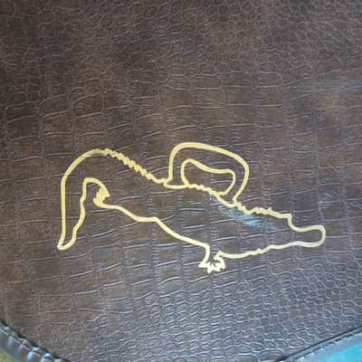 Gator✌️Vintage Plush - Electric Guitar Case image 2