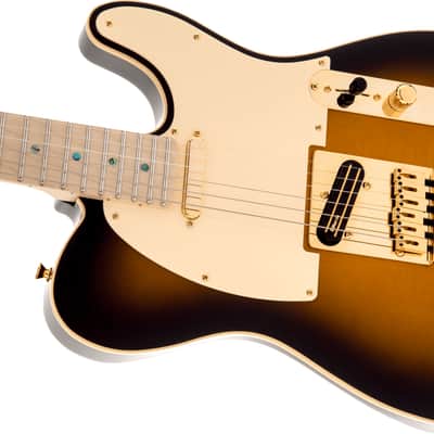 Fender Richie Kotzen Telecaster Maple FB Brown Sunburst image 5