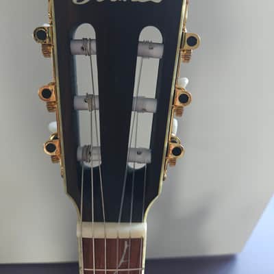 Ibanez TOD10N Tim Henson Signature 2022 - Present - Transparent Black Flat image 6
