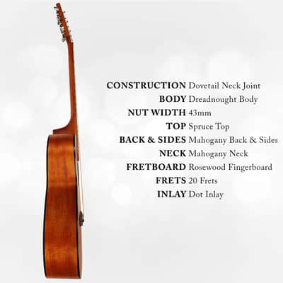 Berkeley Dreadnought OP Acoustic Guitar image 2