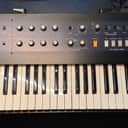 Korg PolySix 1980s - Navy Blue