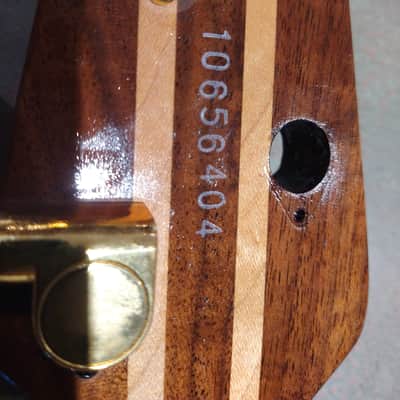 USA-made Peavey Cirrus 4 string Wenge top! Wenge/Pau Ferro image 9