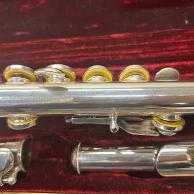 Haynes Amadeus 500 - Silver plated image 4