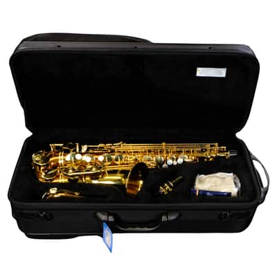 Selmer USA Advanced Alto Saxophone - Copper - SAS511C image 12