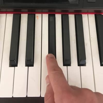 Williams Concerto Digital Piano image 9