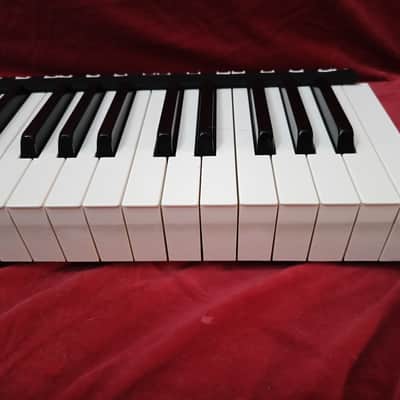 YAMAHA 88L 88H Complete 88 Keys Weighted Style 47W KORG T1 01W PRO YAMAHA KX88 image 8