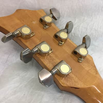 Vintage El Degas Japan Electric Players Guitar Pro Set Up image 12