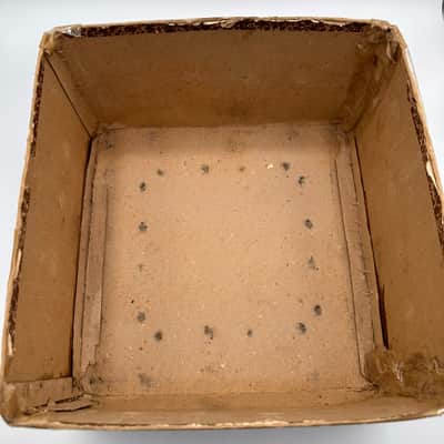 Milano Organetto 1940's-1950's - Burl Bakelite image 13