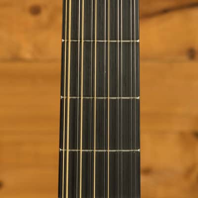 Ibanez AEG1221 AEG Series Electro-Acoustic - Macassar Ebony - Black Out - 12-String image 6
