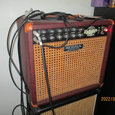 Mesa Boogie Recto-Verb 25 2-Channel 25-Watt 1x12" Guitar Combo 2013 - Present - Various image 2
