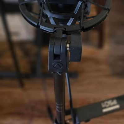 Austrian Audio OC16 Cardioid Large Diaphragm Condenser Microphone 2022 - Present - Black image 4