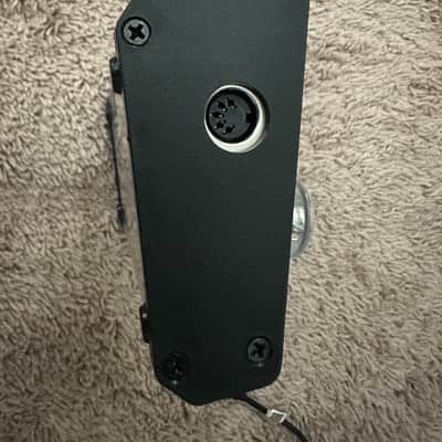 Mesa Boogie F30 30W Hardwood + 3 Button Footswitch image 13