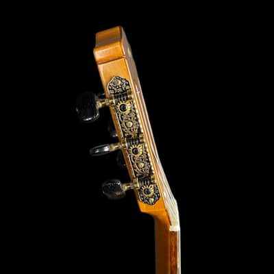 Cordoba F7 Flamenco Acoustic Guitar w/ Gigbag image 7