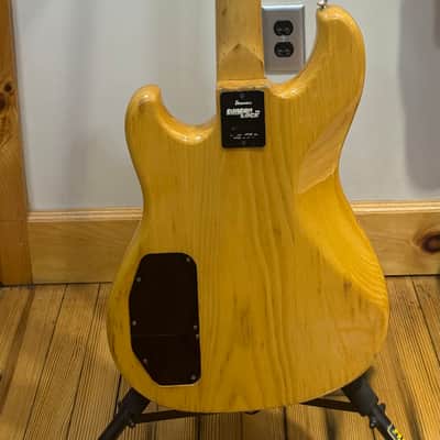Ibanez Roadster Bild 2