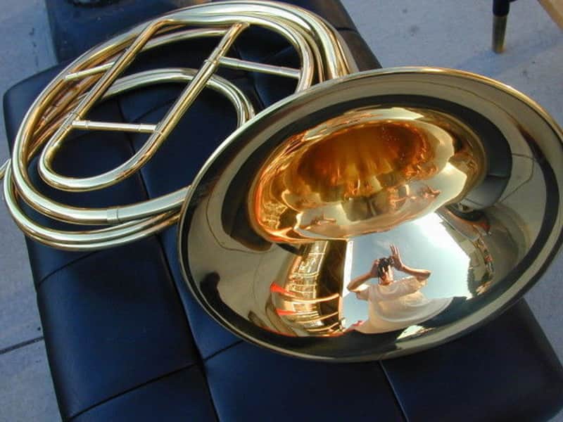 BerkeleyWind Natural horn image 1