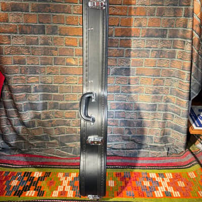 Epiphone Violin Bass Hard Case image 2