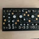 Make Noise Strega Module 2021 - Present - Black