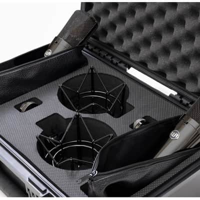 Warm Audio - WA-87 R2 TS Large-Diaphragm Condenser Microphone Stereo Pair - Limited-Edition Titanium (B-Stock) image 3