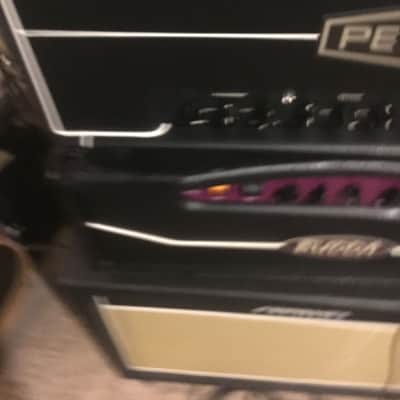 Peters Amplification Dual Channel image 3