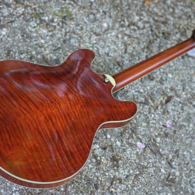 Eastman T59/TV - Vintage Amber image 12