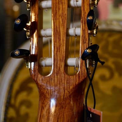 José Torres Guitars JTC 75 ( Solid Top Cedar All Solid Back & Sides Rosewood) Made in Spain w/ Case image 7