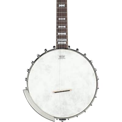 Epiphone Mastertone Bowtie Open-Back Banjo (with Gig Bag) image 3