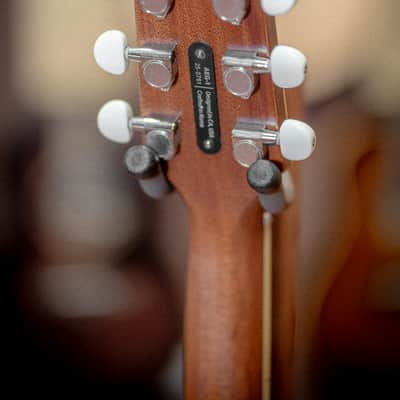 LR Baggs AEG-1 Acoustic electric Guitar Torrefied Spruce Top image 8