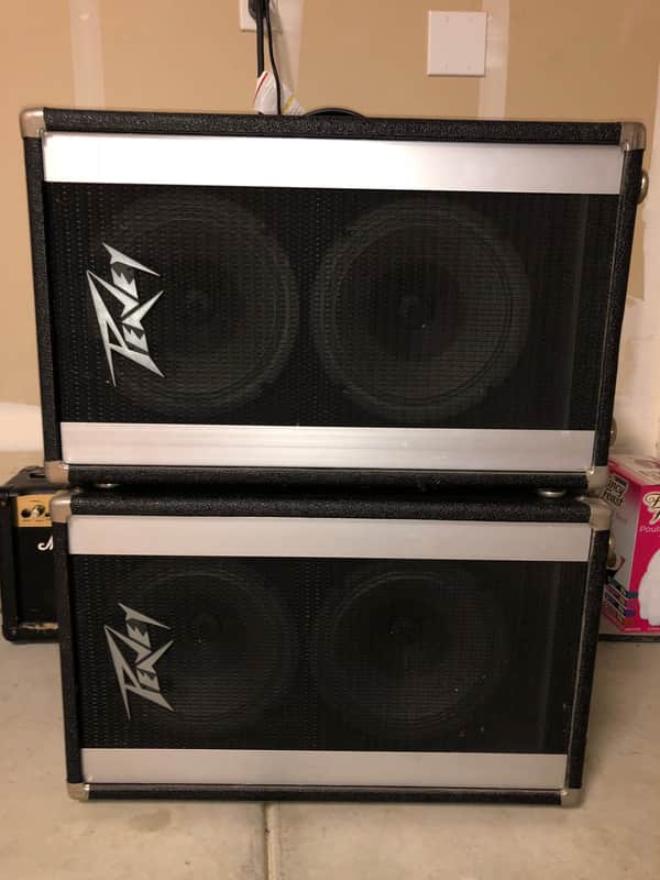 Peavey 210 Column 16-Ohm 70 Watt 2x10
