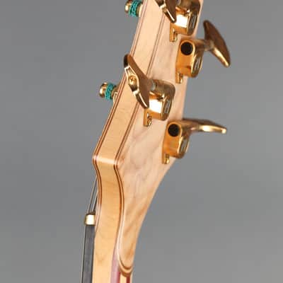 Alembic Series  II Five String Fretless Active Bass image 9