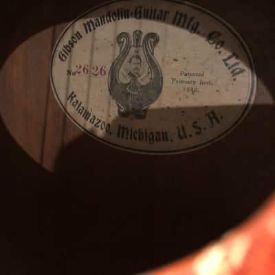 Gibson Style O from 1903 image 18