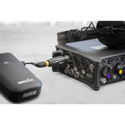 Røde VXLR+, Minijack to XLR Adaptor with Power Convertor image 3