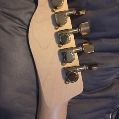 PAYNE Classic series TL 2025 - Matte image 9