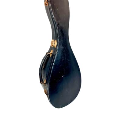 Concert Mandolin G. Kasermann (Carlo Sartori Label) from 1929 image 20