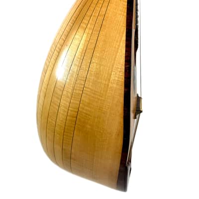 Concert Mandolin G. Kasermann (Carlo Sartori Label) from 1929 image 6