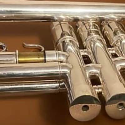 BAC series 2010  - Luxe silver plated finish image 2