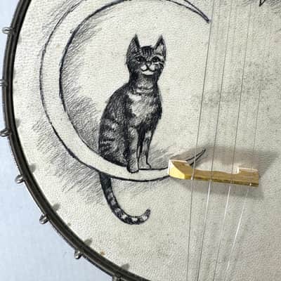 Vega vintage tenor cello banjo 4 strings with painted head New York made Style N “the Tabby” 1924 - Wood and half skin image 3