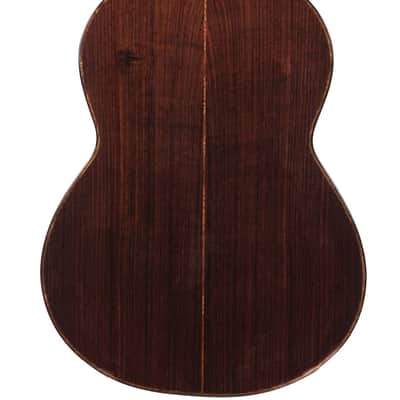Mach Concert Standard Spruce Rosewood image 8