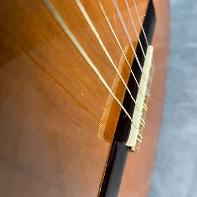 Hiroshi Tamura P-60 Guitar MIJ 1975 image 20