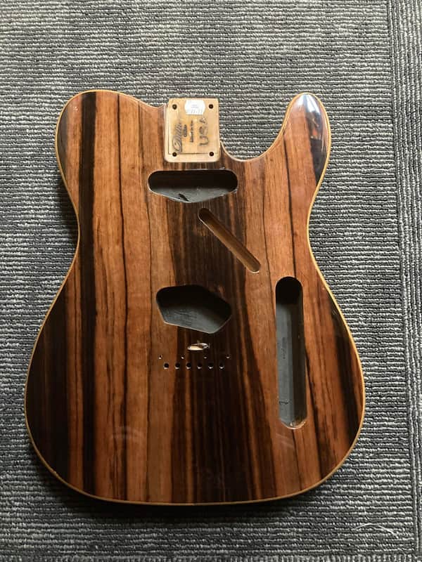 NEW!!! Dillon Guitars USA Made Custom Bodies T-Style image 1