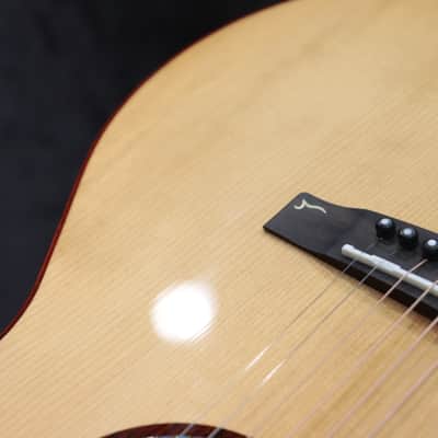 Cort Gold-A10 Cocobolo Torrefied Spruce Top Acoustic Electric Guitar w/Case image 11